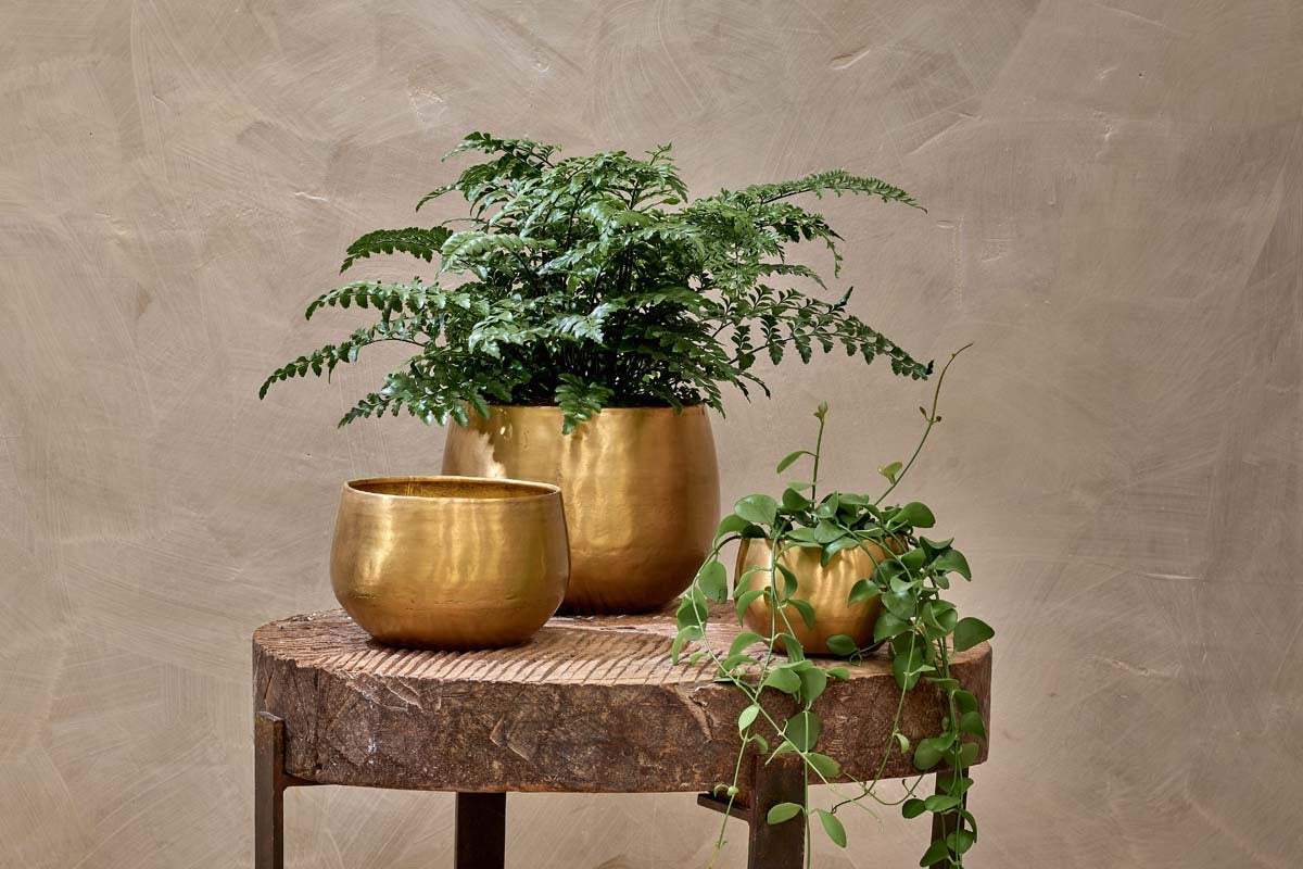 brass plant pot Atsu Brass Planter – Nkuku