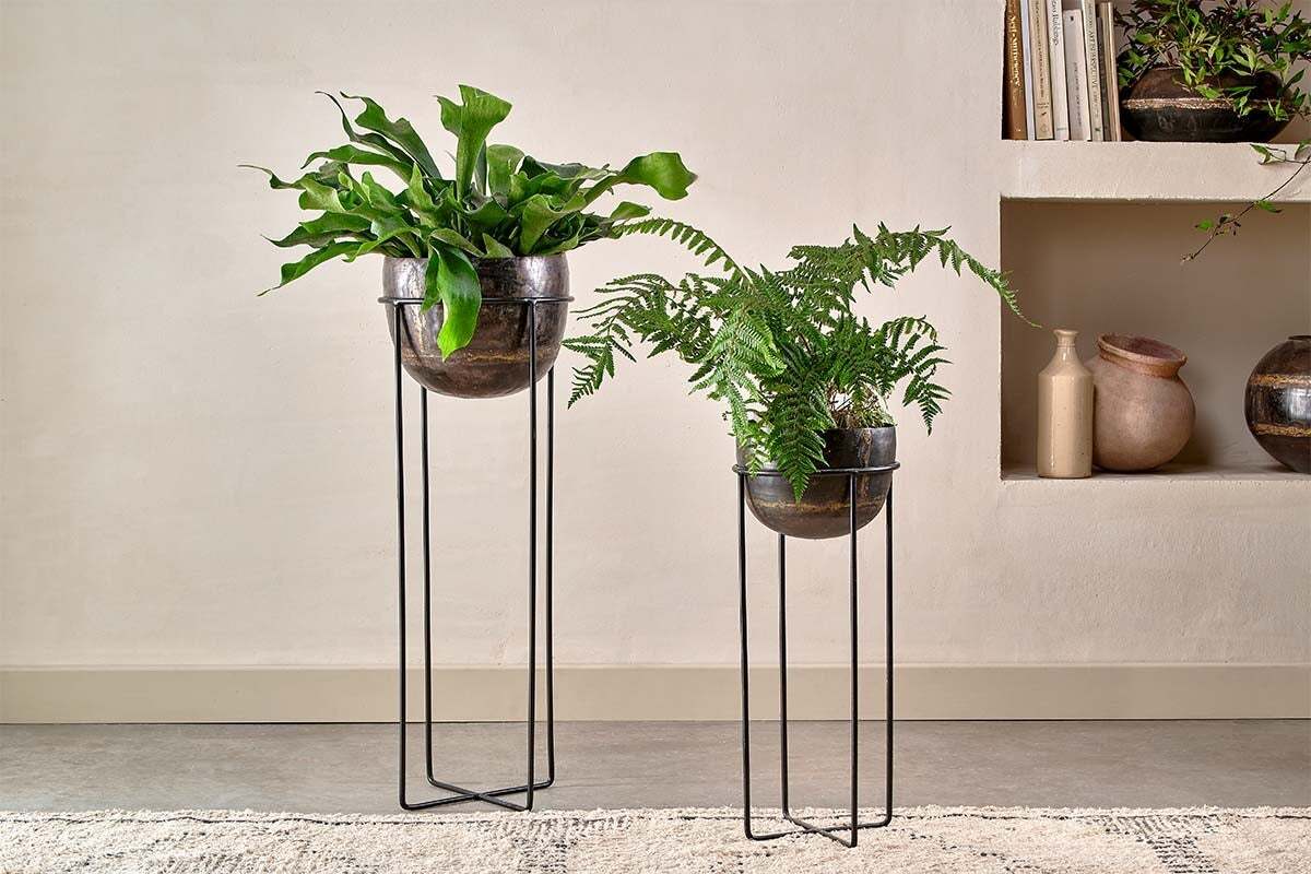 Re:ens 欅 × Iron Flower Stand Endo Reclaimed Iron Planter Stand – Nkuku