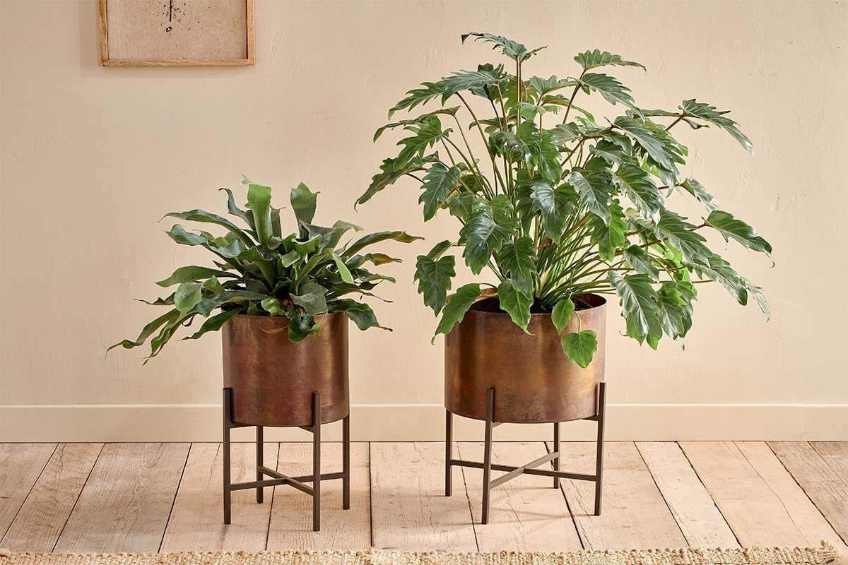 joann indoor plant pots Juoni Iron Planter – Nkuku