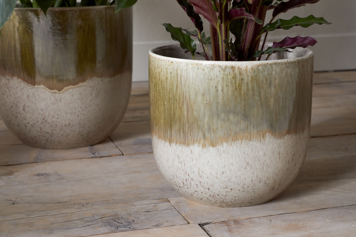 Two nkuku Almeida Reactive Glaze Plant Pots in Olive & Natural, each with a glossy, speckled finish that fades from green to beige, hold leafy plants on a rustic wooden floor, complementing the softly lit, neutral background.