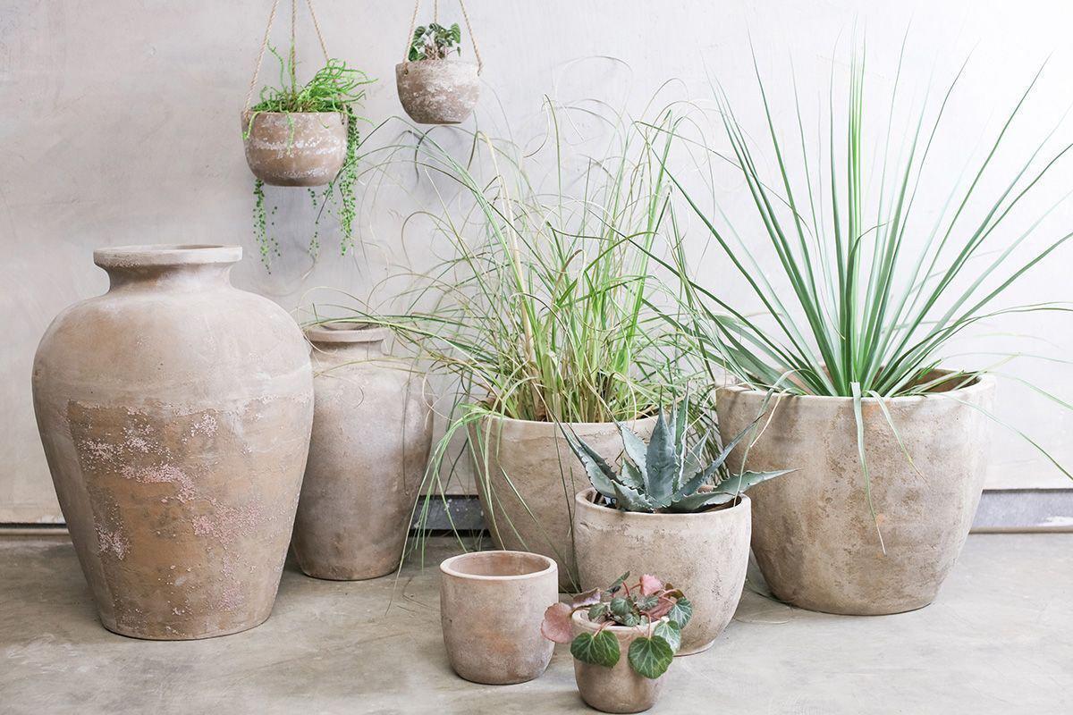 A group of rustic garden decor, including the nkuku Affiti Clay Planter - Medium, sits on a concrete floor against a light wall. Filled with grasses and succulents, two smaller handmade pots hang above the larger planters.