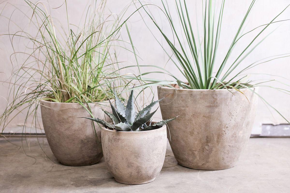 Affiti Clay Planter Medium