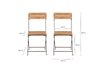 Rishikesh Reclaimed Wood & Iron Folding Chairs - (Set of 2)