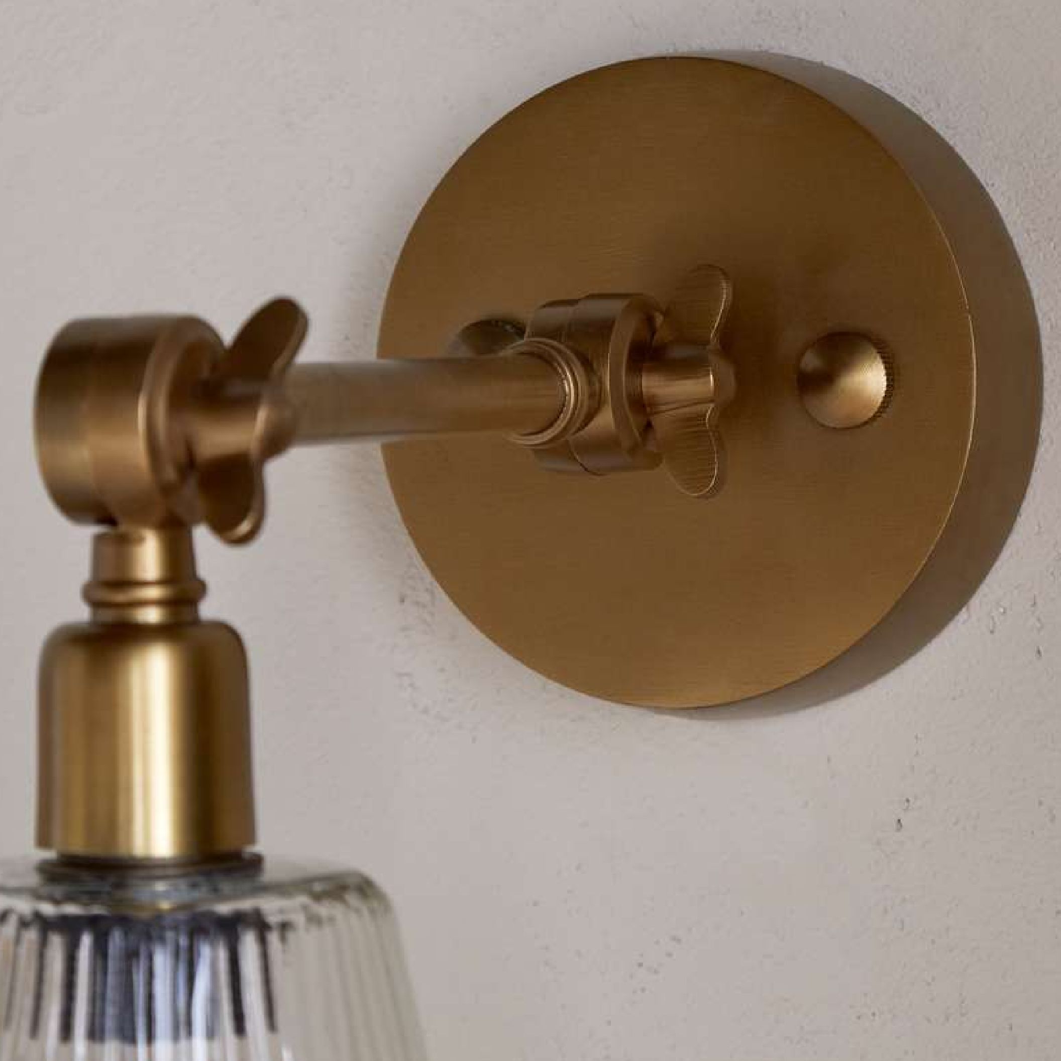 Davika Ribbed Glass Task Wall Lamp - Clear & Antique Brass-nkuku