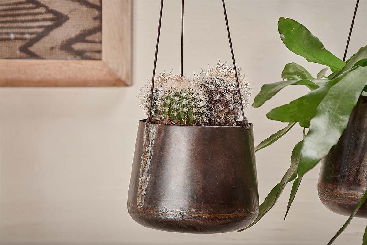 viri hanging planter Endo Reclaimed Iron Hanging Planter – Nkuku