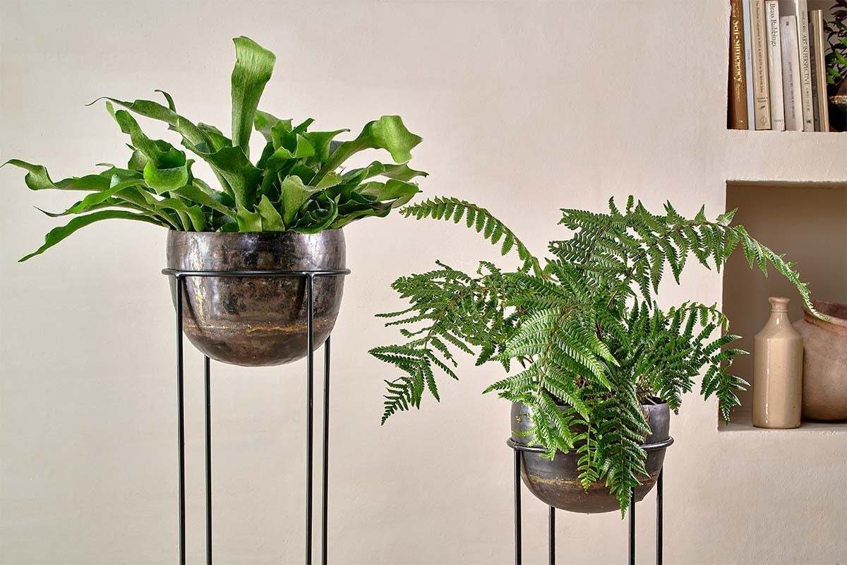 Endo Reclaimed Iron Planter Stand – Nkuku
