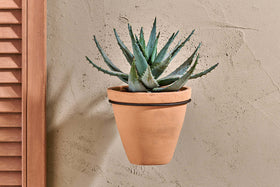 A spiky green aloe vera plant sits in the nkuku Jara Single Wall Hung Planter, a tan terracotta pot mounted on a beige textured wall. Wooden shutters on the left bring warmth to the neutral background.