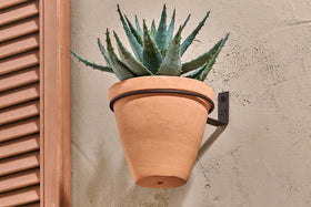 The nkuku Jara Single Wall Hung Planter, featuring a terracotta pot with a spiky green aloe vera plant, is mounted on a textured light-colored wall beside wooden shutters for a stylish display.