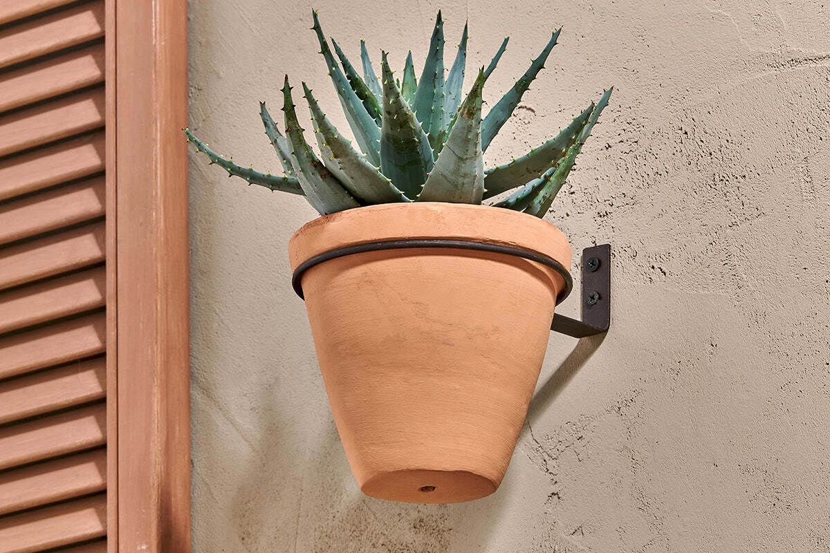 The nkuku Jara Single Wall Hung Planter, featuring a terracotta pot with a spiky green aloe vera plant, is mounted on a textured light-colored wall beside wooden shutters for a stylish display.
