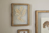The nkuku Jahala Wall Hung Photo Frame in antique brass displays pressed, dried leaves on a light background and is shown alongside similar botanical pieces on a light-colored wall.