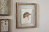 The nkuku Jahala Wall Hung Photo Frame in Antique Brass showcases a pressed, dried flower on white paper and hangs on a light wall with two other botanical pieces.