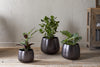Maliki Plant Pot - Aged Bronze