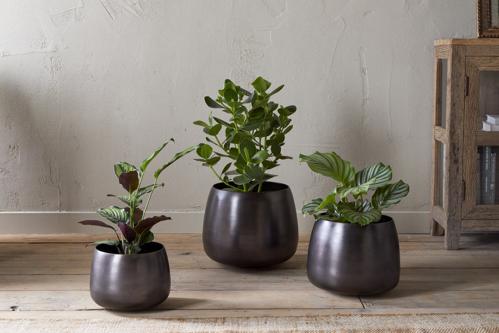 Maliki Plant Pot - Aged Bronze