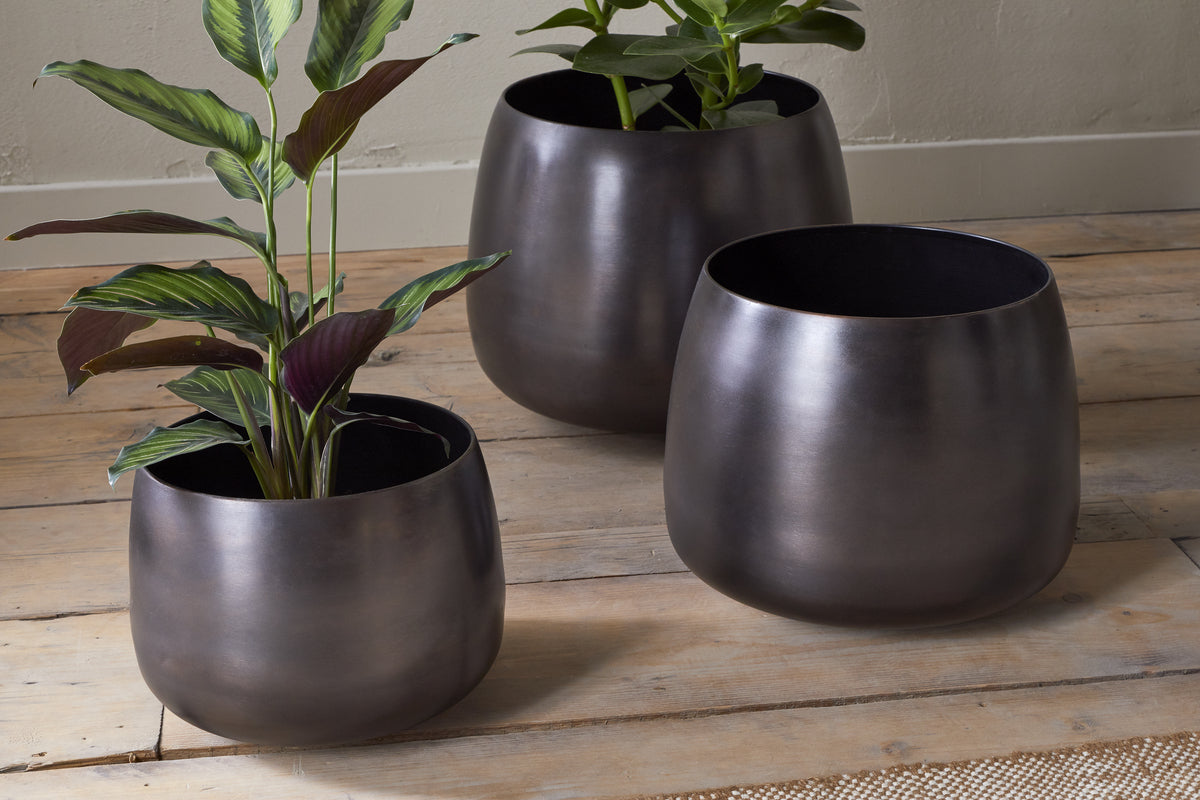 Three nkuku Maliki Plant Pots in aged bronze rest on a light wood floor; two display vibrant houseplants, the third is empty. A beige textured wall and tan woven rug enhance the scene’s modern, natural style.