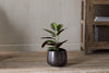 Maliki Plant Pot - Aged Bronze