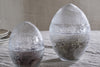 Two Essan Recycled Glass Opening Eggs by nkuku, crafted from clear recycled glass with lids, sit on beige fabric. Each egg contains natural materials—one with dried twigs, the other with a dark, coarse substance. Stacked plates appear behind them.