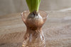 A bulb with green shoots sits in nkuku’s Enir Hyacinth Vase - Dusty Terracotta, filled with water. Roots are visible below the bulb, and the vase rests on a light brown wooden surface with a subtle circular grain pattern.
