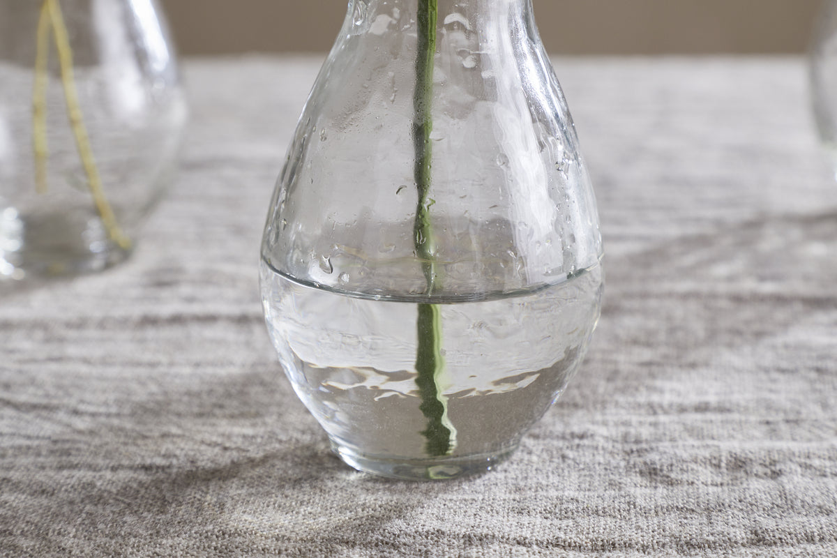 A single green stem stands in a clear Bapti Bud Vase from nkuku (Set of 3), resting on textured, light-colored fabric with soft light reflecting off the water and glass—ideal inspiration for elegant décor enthusiasts.