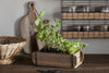 The nkuku Dudha Reclaimed Brick Box - Natural, filled with mint and cilantro, sits on a rustic table with cutting boards, a wicker basket, scissors, and shelves lined with glass spice jars and baskets in the background.
