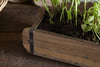 A close-up of nkuku’s Dudha Reclaimed Brick Box - Natural, showing its weathered wood, metal corners, and green herbs in dark soil. The rustic planter sits partially visible on a wooden surface.