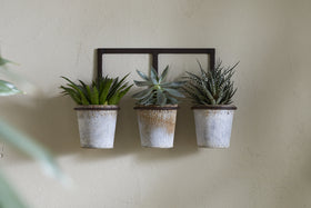 The nkuku Tukana Triple Wall Hung Planter - Zinc displays three small succulents in weathered metal pots, evenly spaced on a black frame and hung against a beige textured wall, highlighting their green and spiky foliage.