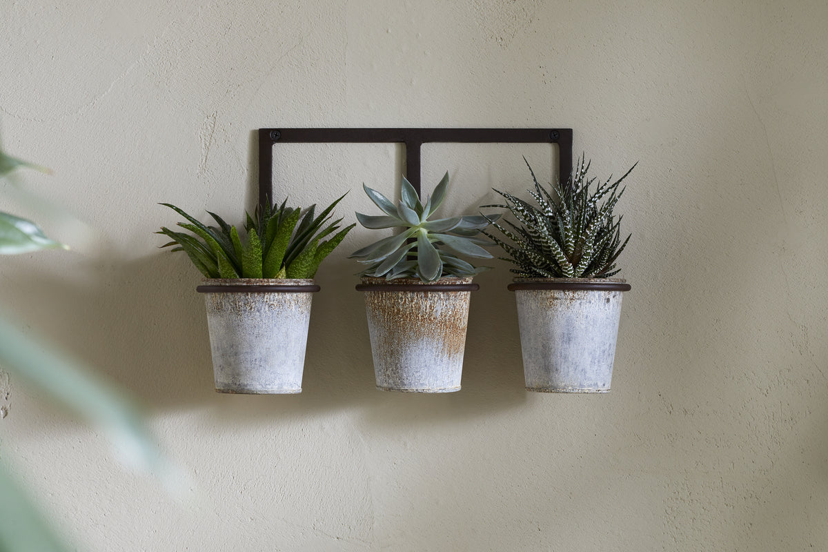 The nkuku Tukana Triple Wall Hung Planter - Zinc displays three small succulents in weathered metal pots, evenly spaced on a black frame and hung against a beige textured wall, highlighting their green and spiky foliage.