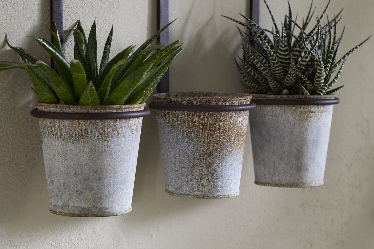 A group of potted plants, including the nkuku Tukana Triple Wall Hung Planter in zinc, adds lush greenery and modern style to any space.