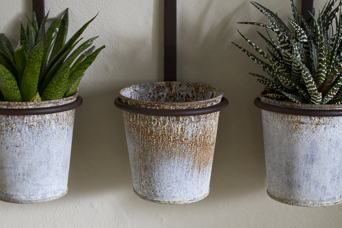 The nkuku Tukana Triple Wall Hung Planter - Zinc features three weathered metal pots; spiky green succulents fill the left and right, while the distressed middle planter is empty with visible rust marks.