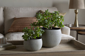 Two Laoko Planters in Olive Grey by nkuku sit on a wooden tray atop a coffee table. Behind them, a beige sofa with a brown striped pillow and round side table create a cozy, modern space in soothing neutral tones.