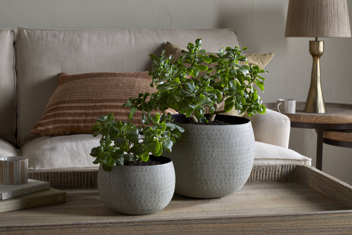Two Laoko Planters in Olive Grey by nkuku sit on a wooden tray atop a coffee table. Behind them, a beige sofa with a brown striped pillow and round side table create a cozy, modern space in soothing neutral tones.