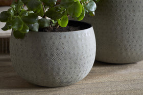 A green succulent sits in the nkuku Laoko Planter - Olive Grey, featuring a subtle dotted texture. Another matching planter appears in the background, both on a wooden surface—ideal for modern interiors.