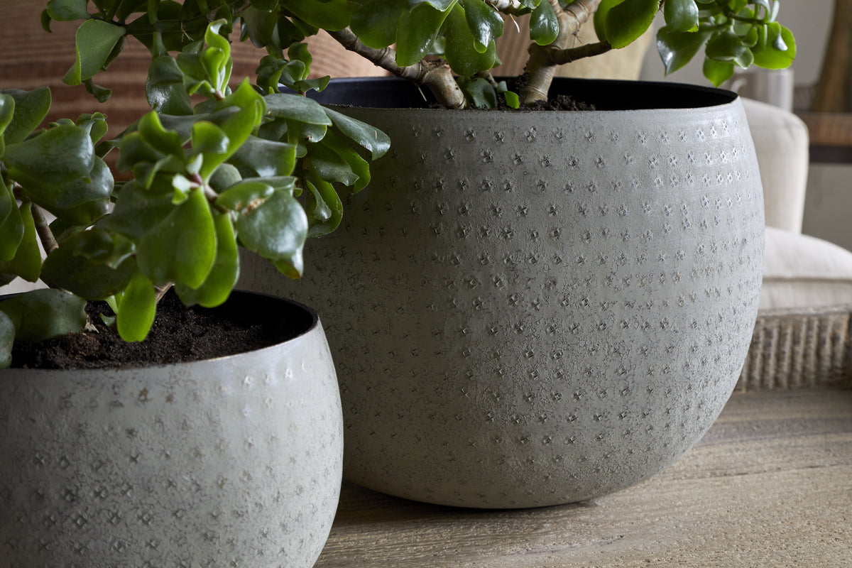 Two green succulents in nkuku’s Laoko Planter – Olive Grey are set on a wooden surface, with a beige cushion and woven basket behind, creating a cozy display that complements modern interiors.