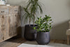 Two potted houseplants—one tall and spiky, one shorter with round leaves—sit in nkuku’s Lmaga Metal Grooved Planters in aged black on a wooden floor beside a rustic cabinet, with a woven rug and upholstered chair nearby.
