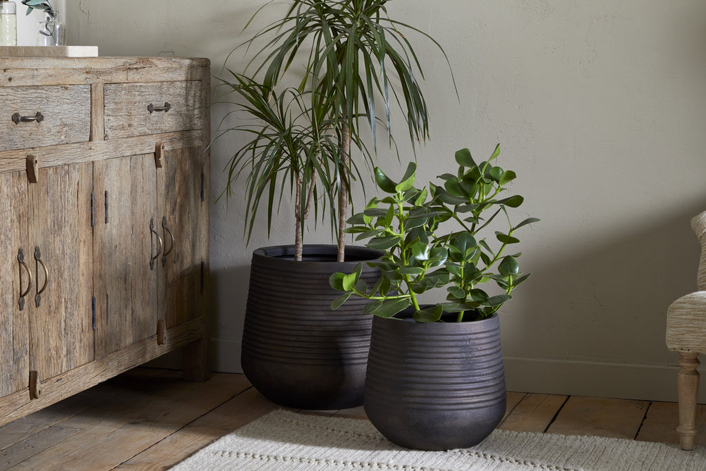 Two potted houseplants—one tall and spiky, one shorter with round leaves—sit in nkuku’s Lmaga Metal Grooved Planters in aged black on a wooden floor beside a rustic cabinet, with a woven rug and upholstered chair nearby.