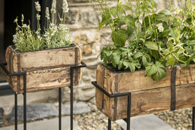 Two nkuku Amazzi Indoor Planter Stands in natural and black, each topped with reclaimed wooden planter boxes, display lush green plants and white flowers outdoors against a stone wall and gravel, creating an earthy, natural vibe.