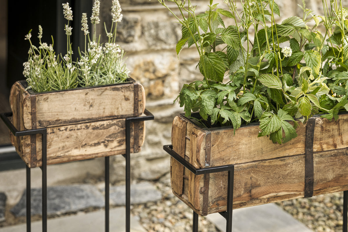 Two nkuku Amazzi Indoor Planter Stands in natural and black, each topped with reclaimed wooden planter boxes, display lush green plants and white flowers outdoors against a stone wall and gravel, creating an earthy, natural vibe.
