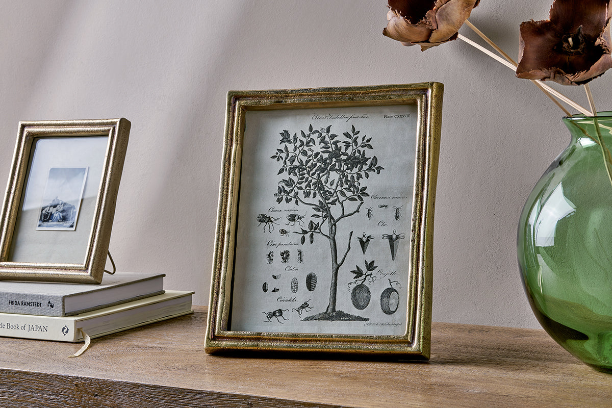 A wooden table displays two nkuku Pambani Photo Frames in Antique Brass: one features a botanical fruit tree, the other atop books shows a black-and-white landscape. A green glass vase with dried brown flowers stands to the right.