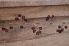 Tanu Mango Wood Beaded Garland - Brass & Ruby