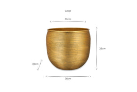 The nkuku Tembesi Etched Planter in antique brass is shown on a white background, with dimensions marked: 36cm wide at the base, 31cm at the top, 33cm tall, and 36cm deep. Text above reads “Large.”.
