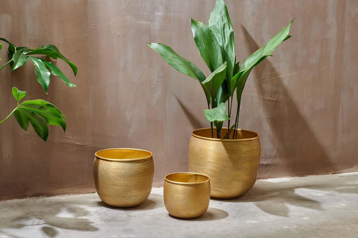 Tembesi Etched Planter Antique Brass