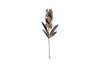 The nkuku Svara Stem Hyacinth is a metal wall decoration with multiple flower clusters and elongated leaves in an antique brass finish, set against a white background.