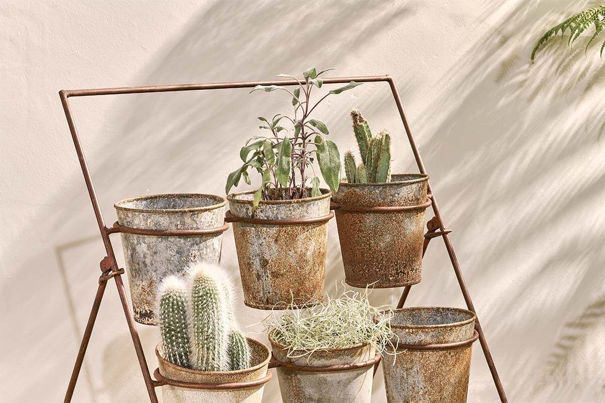 The Abari Planter Stand by nkuku displays six aged zinc pots with succulents, cacti, and herbs. Sunlight casts soft shadows on a beige wall, enhancing the warm, rustic charm of this stylish garden decor.