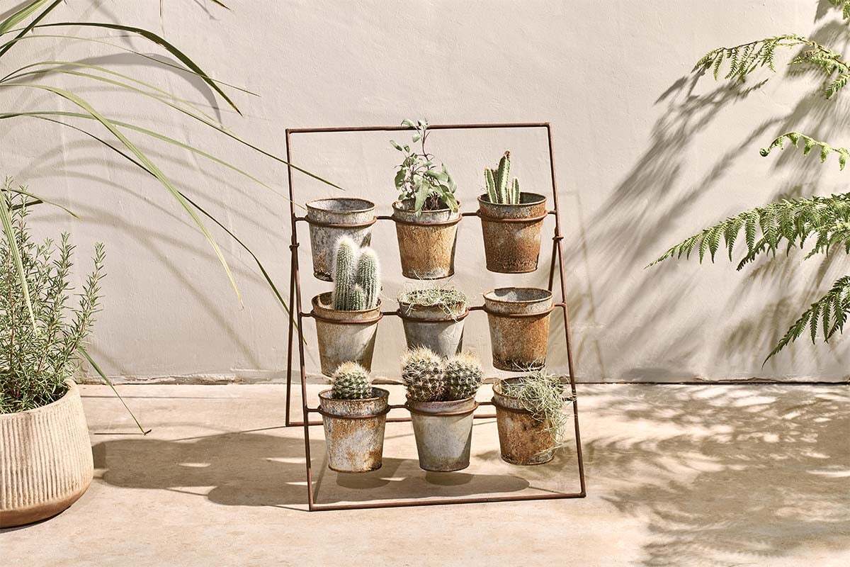 The Abari Planter Stand by nkuku holds nine rustic aged zinc pots, each filled with unique cacti and succulents. Set against a light beige wall, it adds perfect garden decor, with nearby plants casting soft shadows in the sunlight.