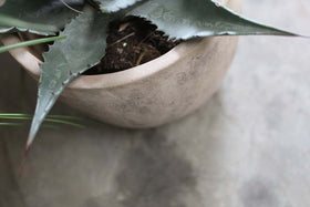 Affiti Clay Planter - Large