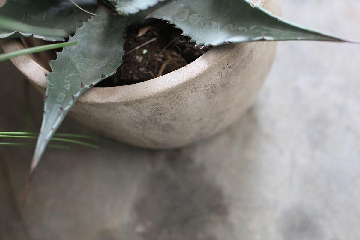 Affiti Clay Planter - Medium-nkuku