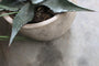Nkuku Vases & Planters Affiti Clay Planter