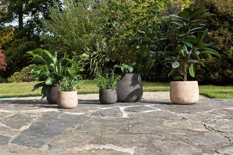 nkuku VASES & PLANTERS Zadie Etched Ceramic Planter - Neutral - Small